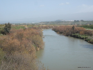lle del Simeto-24-02-2013 10-03-30
